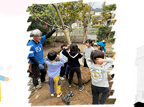 ���̖؂̐A��